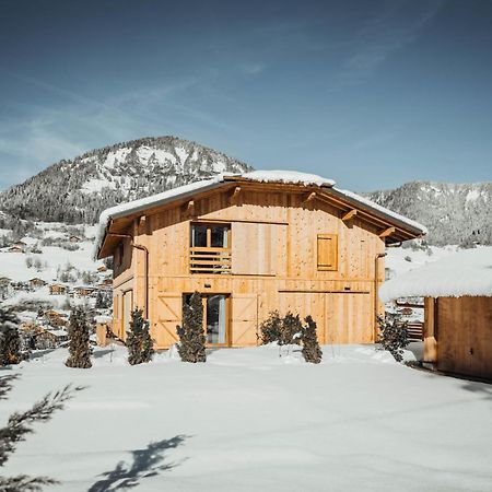 Nards Furnished Chalet Villa Praz-sur-Arly Esterno foto