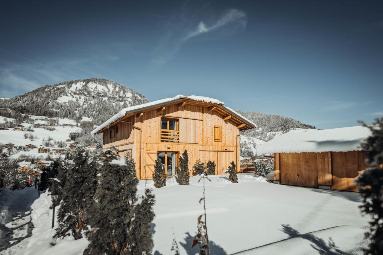 Nards Furnished Chalet Villa Praz-sur-Arly Esterno foto